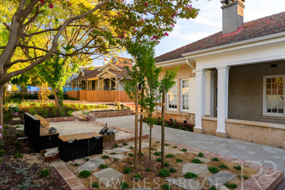 February 2024 / WILDERNESS_ELC-240217-_Z8C4632