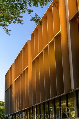 March 2024 / Mary-McKillop-240323-_Z8E8268