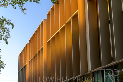 March 2024 / Mary-McKillop-240323-_Z8E8271