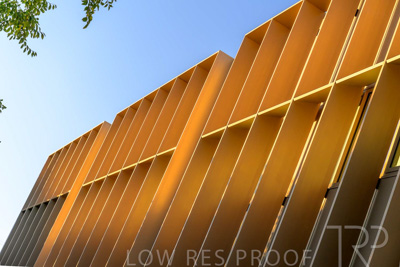 March 2024 / Mary-McKillop-240323-_Z8E8274