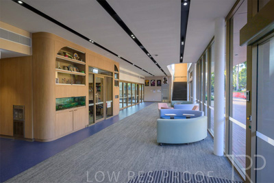 March 2024 / Mary-McKillop-240323-_Z9C7297