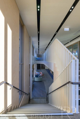 March 2024 / Mary-McKillop-240323-_Z9C7385