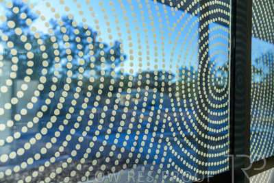 August 2024 / Leigh-Creek-240814-_Z9C1949