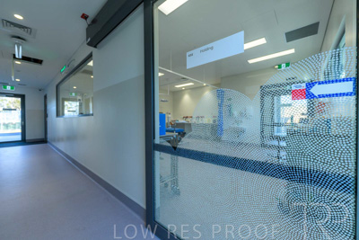 August 2024 / Leigh-Creek-240814-_Z9C2049