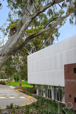 September 2024 / St-Ignatius-240907-_Z8C5001