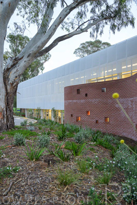 September 2024 / St-Ignatius-240907-_Z9C7218