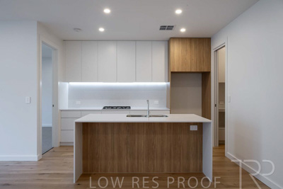 September 2024 / Lot-331_240918_Z8C5667