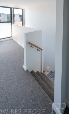 September 2024 / Lot-331_240918_Z8C5775