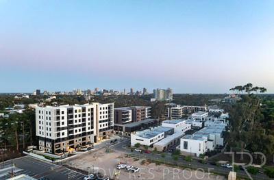 October 2024 / BANKSIA-241009-DJI_0131