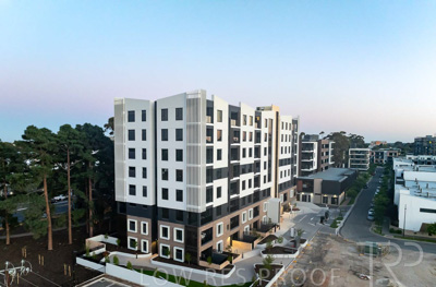 October 2024 / BANKSIA-241009-DJI_0159