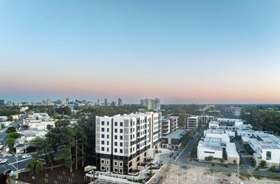 October 2024 / BANKSIA-241009-DJI_0181