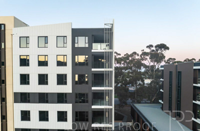 October 2024 / BANKSIA-241009-DJI_0206