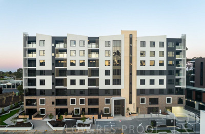 October 2024 / BANKSIA-241009-DJI_0216