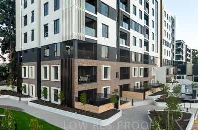 October 2024 / BANKSIA-241009-DJI_0231