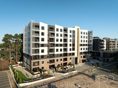 October 2024 / BANKSIA-241009-DJI_0259