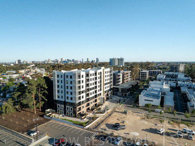 October 2024 / BANKSIA-241009-DJI_0334