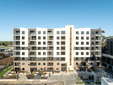 October 2024 / BANKSIA-241009-DJI_0339