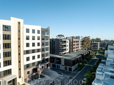 October 2024 / BANKSIA-241009-DJI_0364