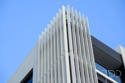 October 2024 / BANKSIA-241009-_Z8C2100