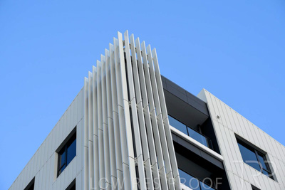 October 2024 / BANKSIA-241009-_Z8C2103