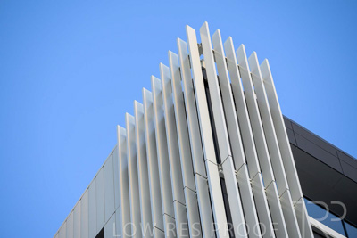 October 2024 / BANKSIA-241009-_Z8C2115