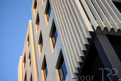 October 2024 / BANKSIA-241009-_Z8C2124