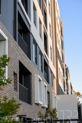 October 2024 / BANKSIA-241009-_Z8C2130