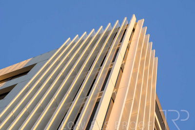 October 2024 / BANKSIA-241009-_Z8C2133