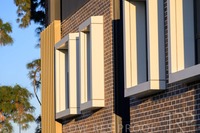 October 2024 / BANKSIA-241009-_Z8C2145