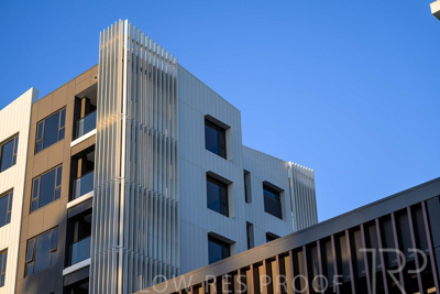 October 2024 / BANKSIA-241009-_Z8C2148