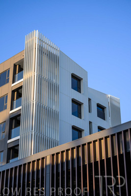 October 2024 / BANKSIA-241009-_Z8C2151