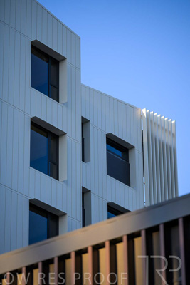 October 2024 / BANKSIA-241009-_Z8C2157