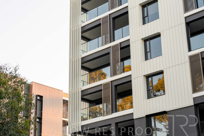 October 2024 / BANKSIA-241009-_Z8C2167