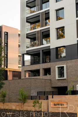 October 2024 / BANKSIA-241009-_Z8C2173