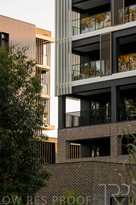 October 2024 / BANKSIA-241009-_Z8C2197