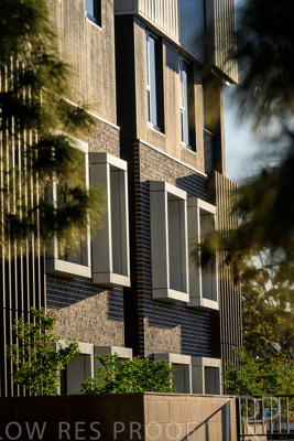 October 2024 / BANKSIA-241009-_Z8C2203