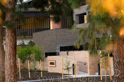 October 2024 / BANKSIA-241009-_Z8C2209