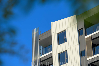 October 2024 / BANKSIA-241009-_Z8C2225