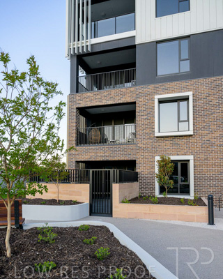 October 2024 / BANKSIA-241009-_Z9C3810