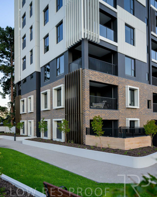 October 2024 / BANKSIA-241009-_Z9C3813