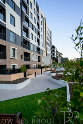 October 2024 / BANKSIA-241009-_Z9C3816