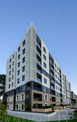 October 2024 / BANKSIA-241009-_Z9C3831