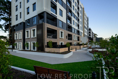 October 2024 / BANKSIA-241009-_Z9C3834