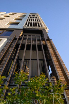 October 2024 / BANKSIA-241009-_Z9C3849