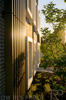 October 2024 / BANKSIA-241009-_Z9C3864