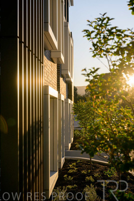 October 2024 / BANKSIA-241009-_Z9C3867