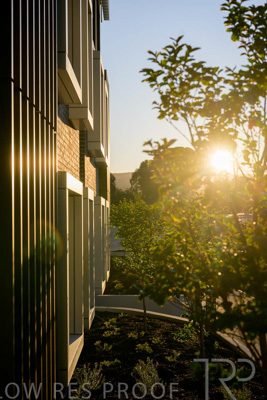 October 2024 / BANKSIA-241009-_Z9C3870