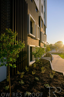 October 2024 / BANKSIA-241009-_Z9C3873