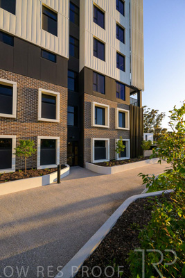 October 2024 / BANKSIA-241009-_Z9C3885