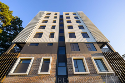 October 2024 / BANKSIA-241009-_Z9C3891